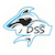 DSS